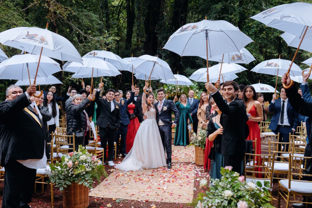 Fotografía de boda en bosque nativo en Huilo Huilo, ceremonia al aire libre, NGS Fotografía